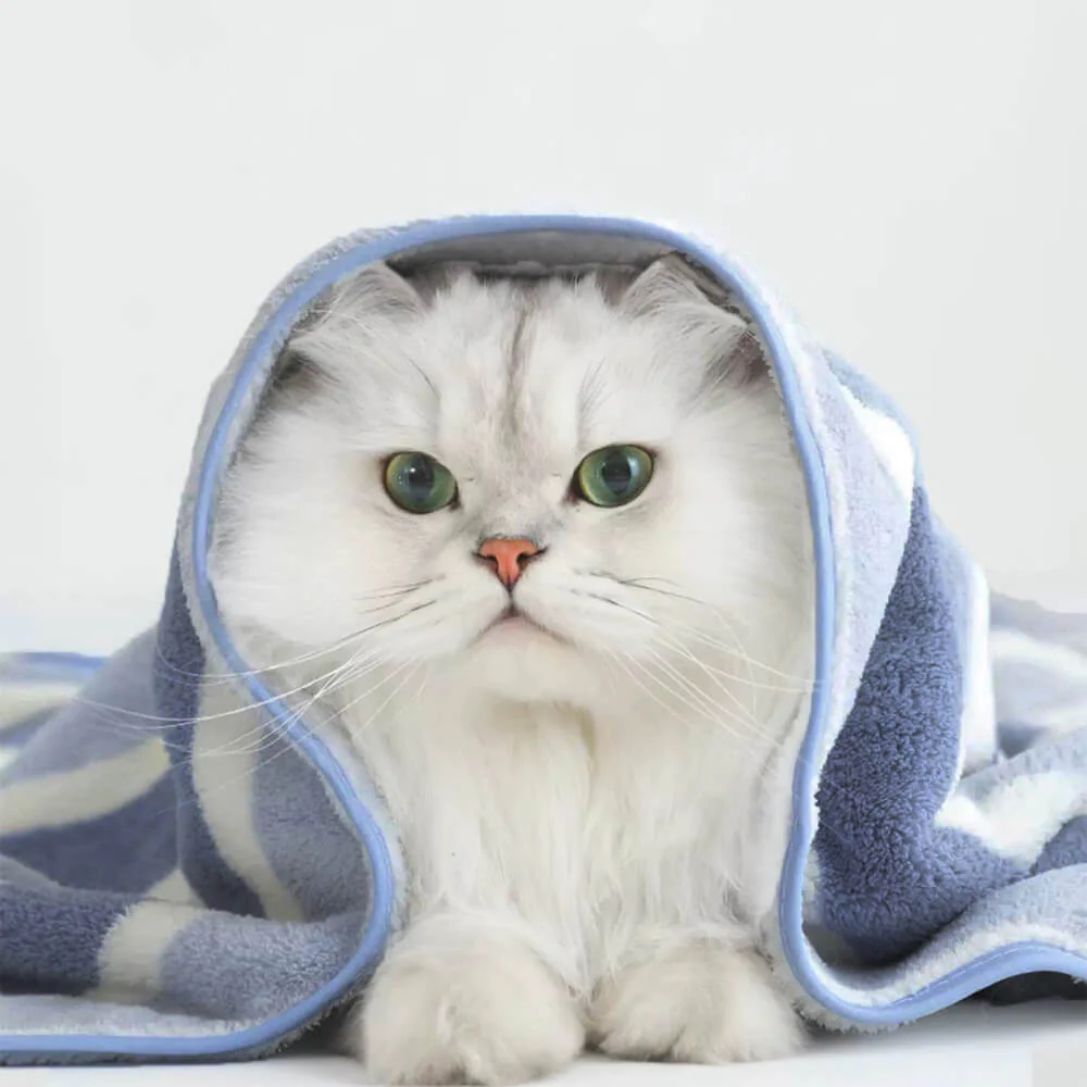 Serviette de bain rayée pour chien et chat absorbante à séchage rapide épaissie et douce - Image 5