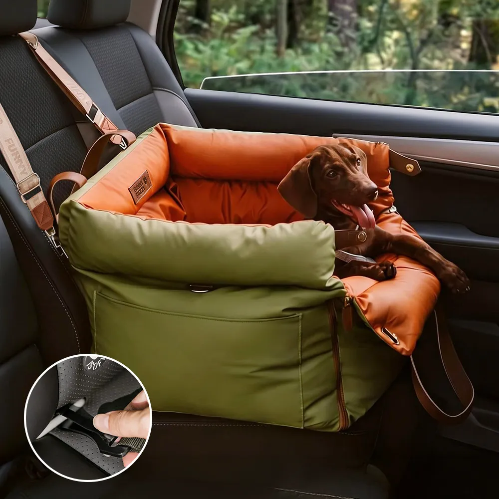 Essentiels auto – Nouveautés