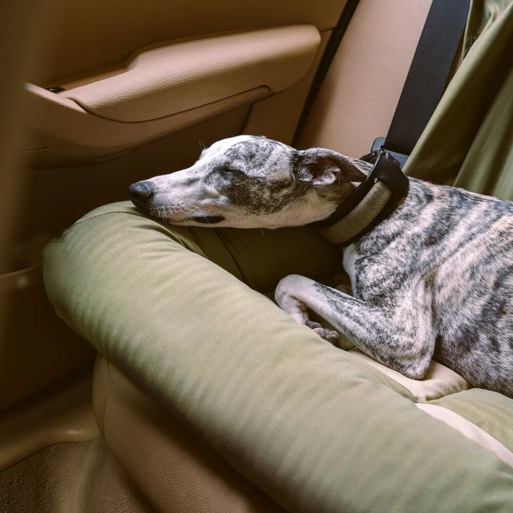 Siège Auto Sécurisé pour Chien Grande Taille avec Repose-Tête - Style Échiquier - Image 12