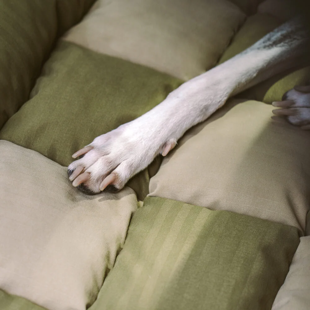 Siège Auto Sécurisé pour Chien Grande Taille avec Repose-Tête - Style Échiquier - Image 13
