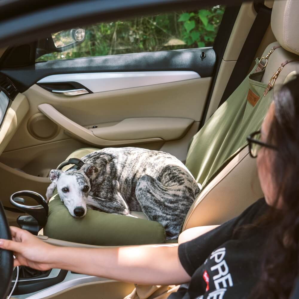 Siège Auto Sécurisé pour Chien Grande Taille avec Repose-Tête - Style Échiquier - Image 14