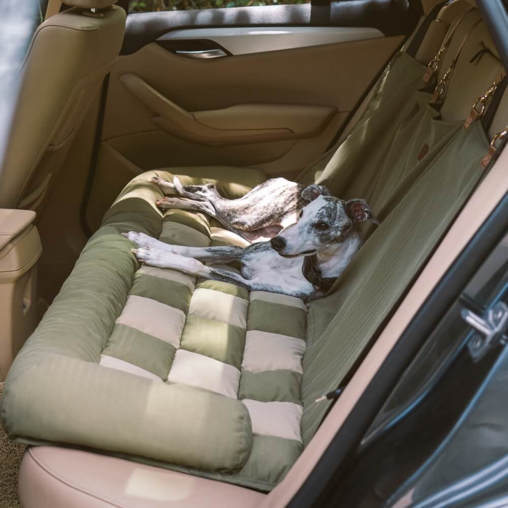 Siège Auto Sécurisé pour Chien Grande Taille avec Repose-Tête - Style Échiquier - Image 17