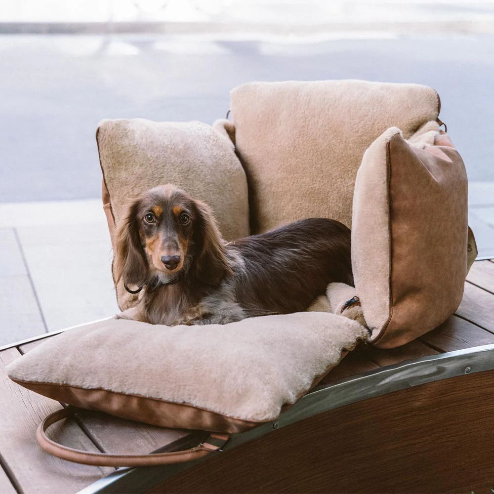 Siège d'appoint pour chien grande taille moelleux chaud sûr antidérapant - Ride and Rover - Image 32