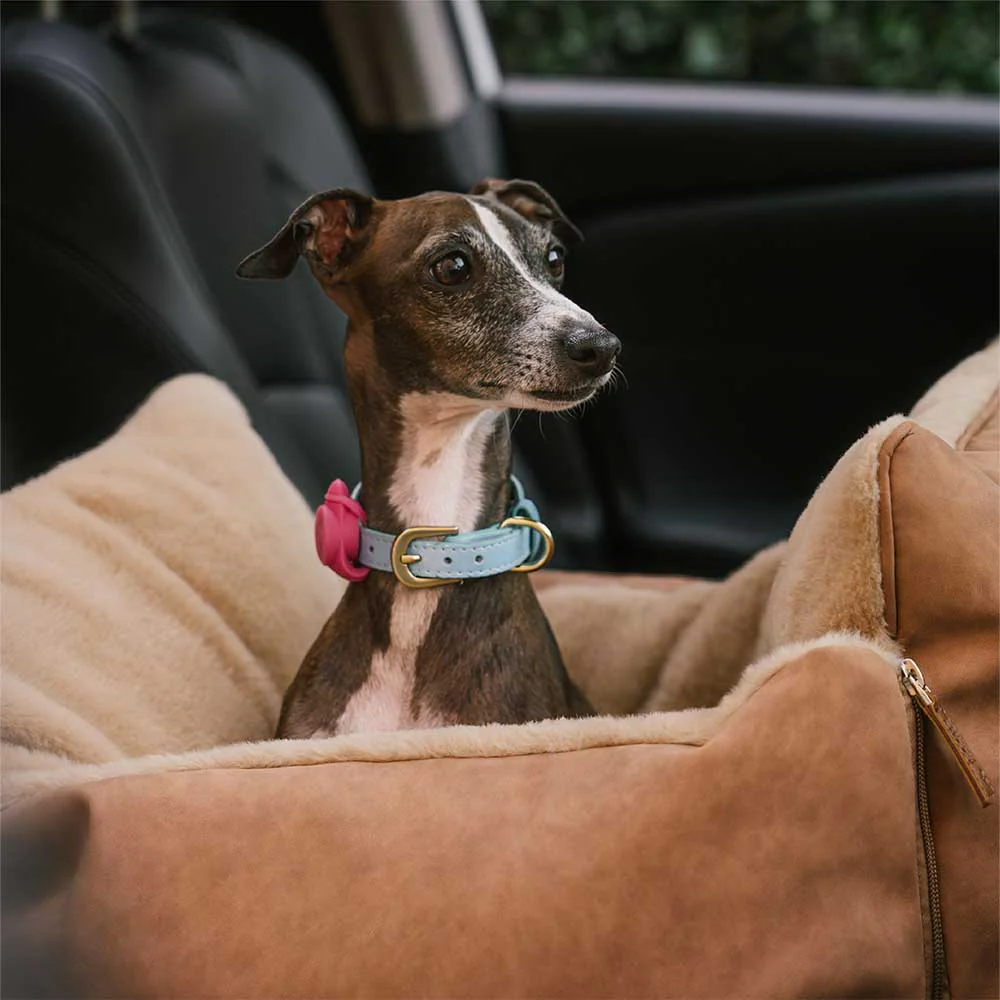 Siège d'appoint pour chien grande taille moelleux chaud sûr antidérapant - Ride and Rover - Image 6
