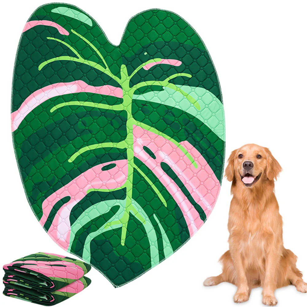 Tapis absorbant réutilisable lavable antidérapant pour chien
