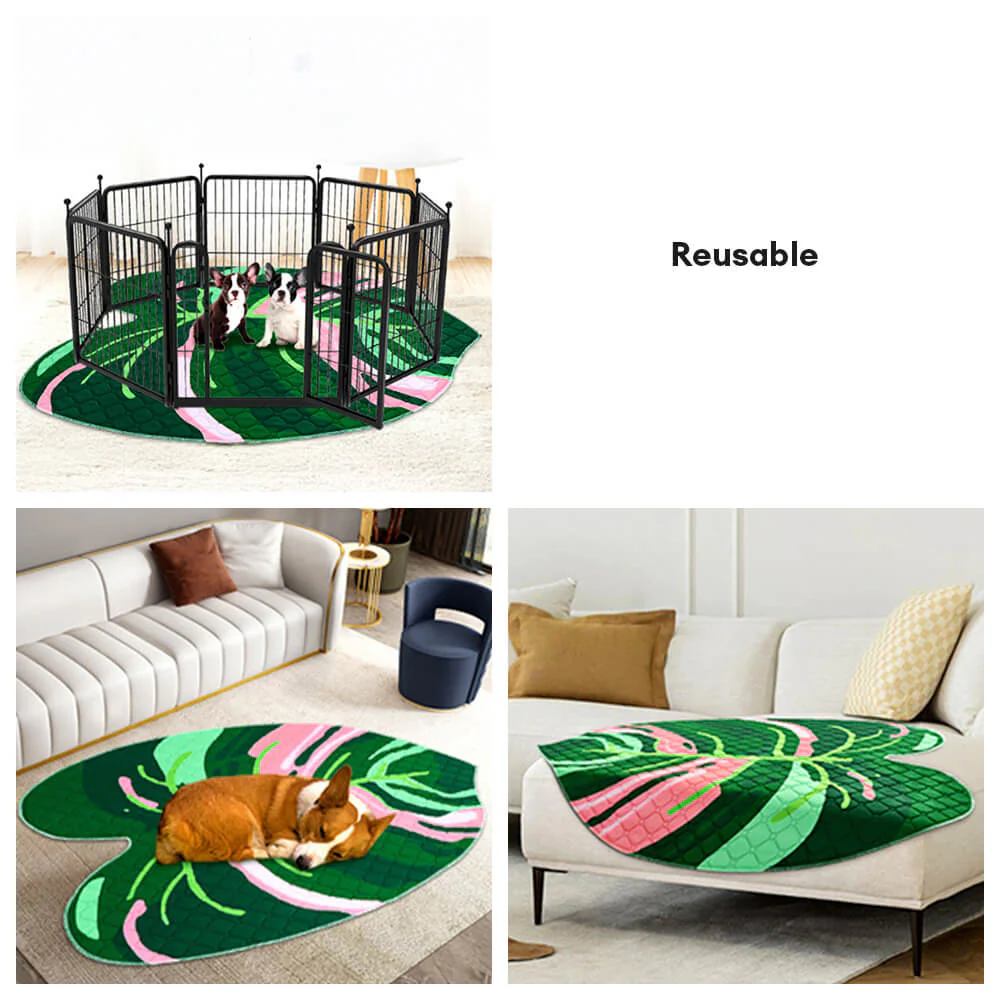 Tapis absorbant réutilisable lavable antidérapant pour chien - Image 5