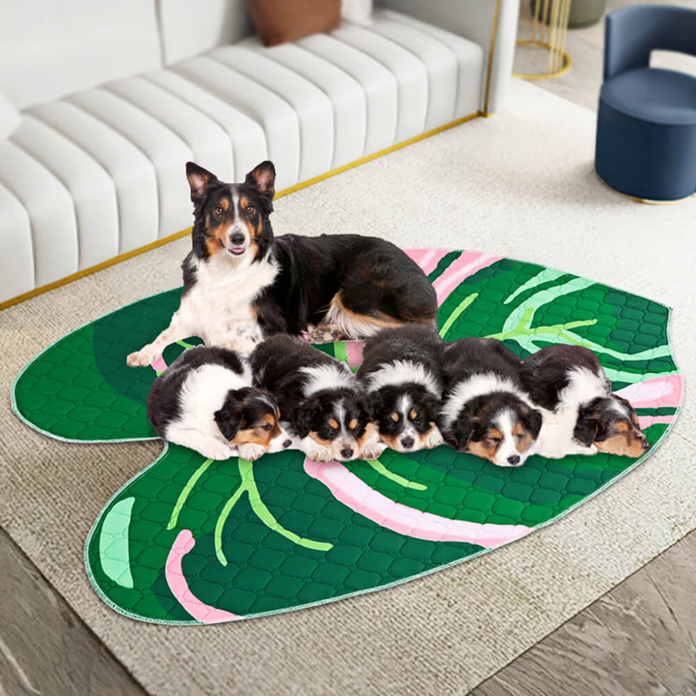 Tapis absorbant réutilisable lavable antidérapant pour chien - Image 8