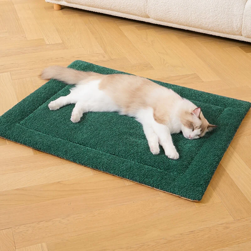 Tapis antidérapant en peluche pour animaux de compagnie chaud et confortable - Image 10