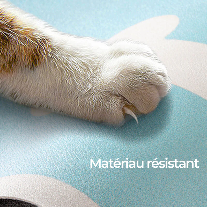 Tapis d'Alimentation pour Animaux Absorbant et Antidérapant à Séchage Rapide - Image 5