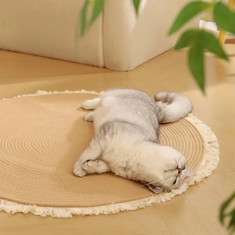 Tapis en jute tissé à la main style nordique durable avec franges pour chat - Image 3