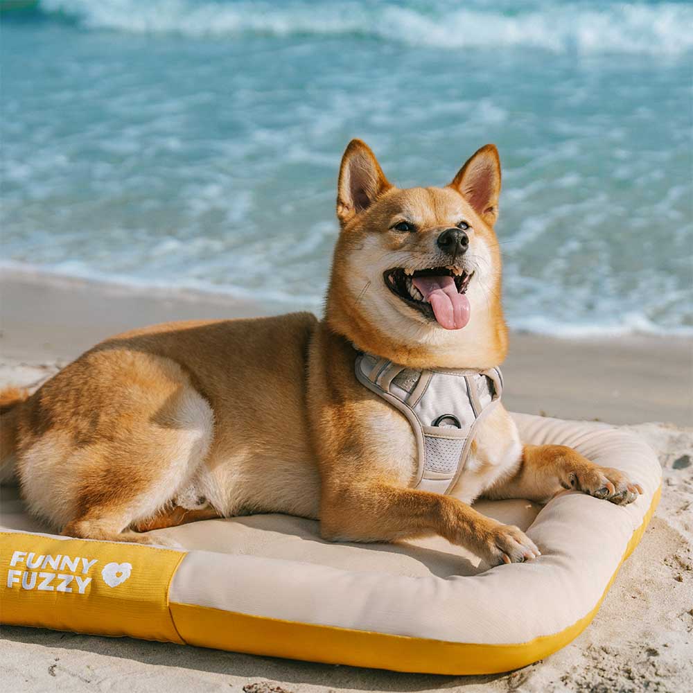 Tapis orthopédique imperméable et résistant aux rayures pour chien motif coloris block - Trek Lounge - Image 12