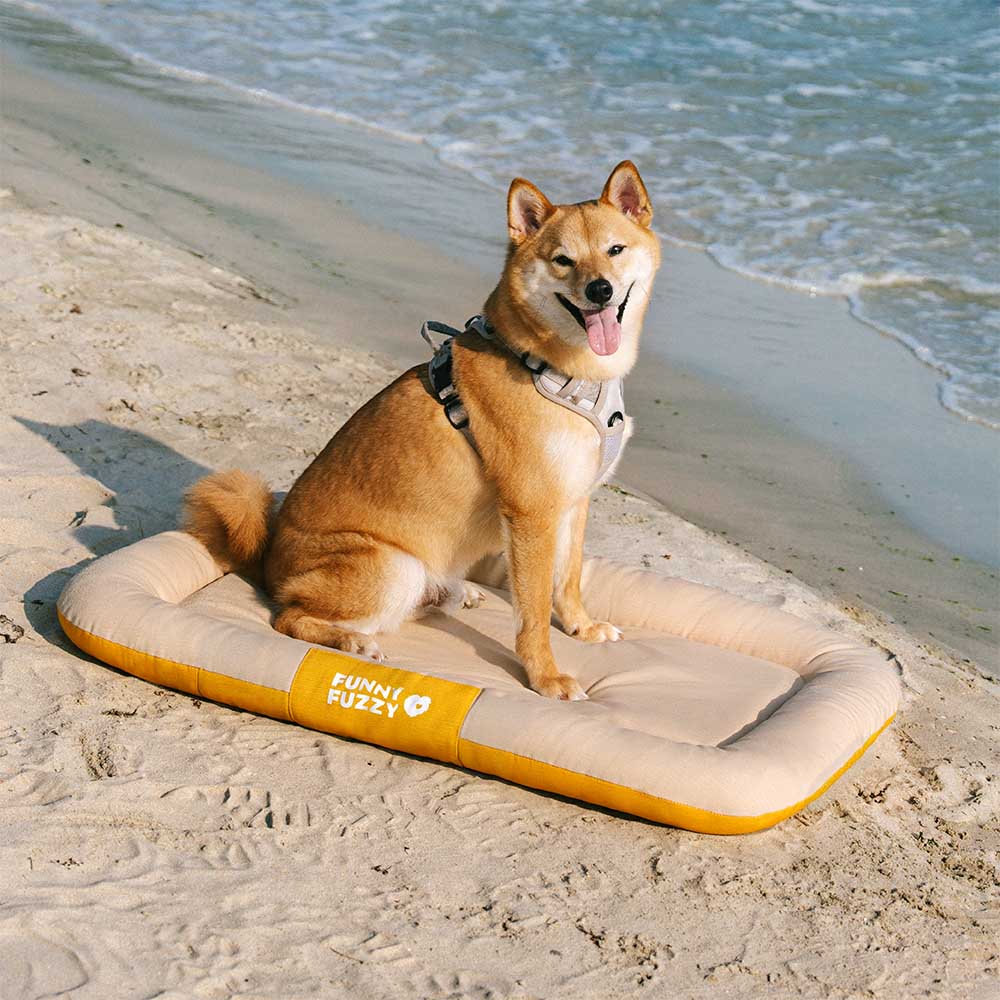 Tapis orthopédique imperméable et résistant aux rayures pour chien motif coloris block - Trek Lounge - Image 20
