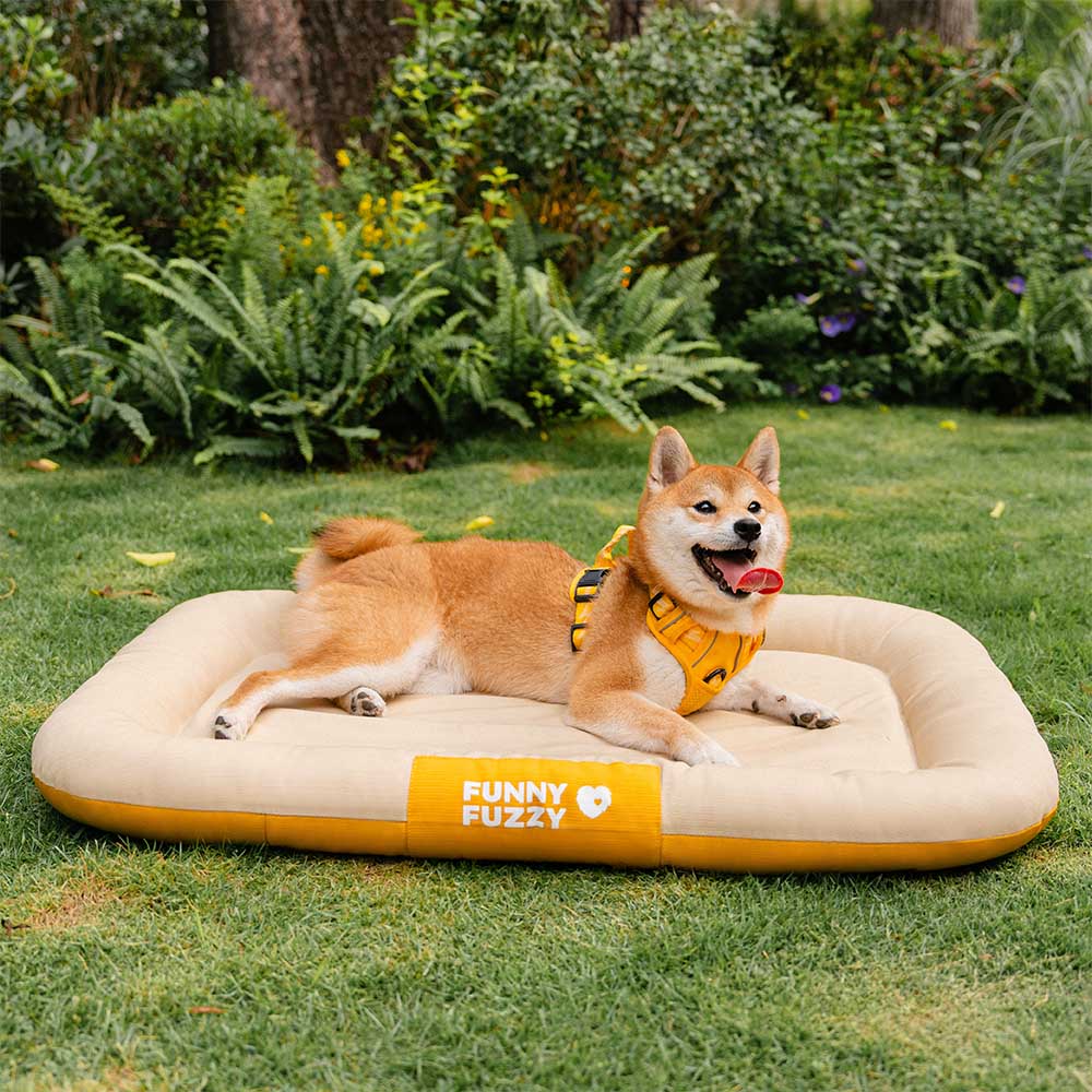 Tapis orthopédique imperméable et résistant aux rayures pour chien motif coloris block - Trek Lounge - Image 21