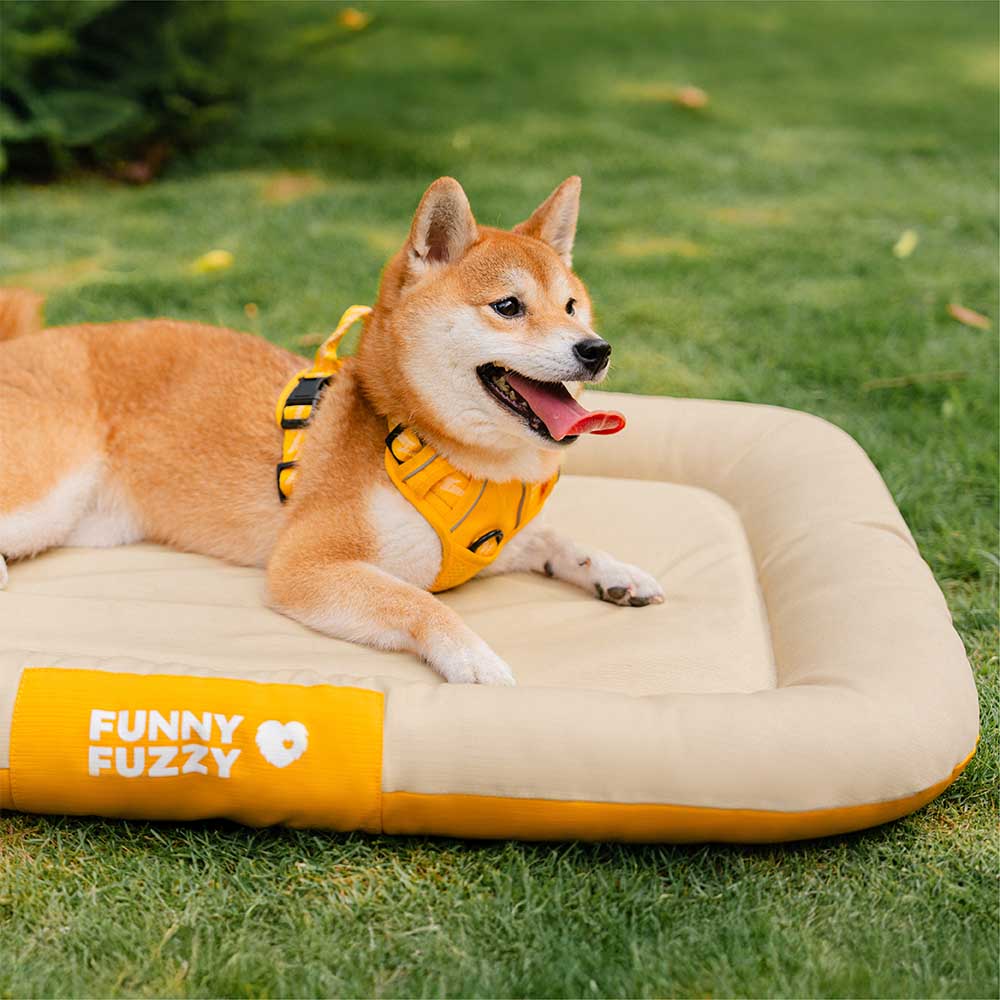 Tapis orthopédique imperméable et résistant aux rayures pour chien motif coloris block - Trek Lounge - Image 22
