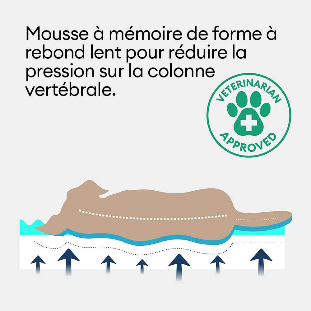 Tapis orthopédique imperméable et résistant aux rayures pour chien motif coloris block - Trek Lounge - Image 6