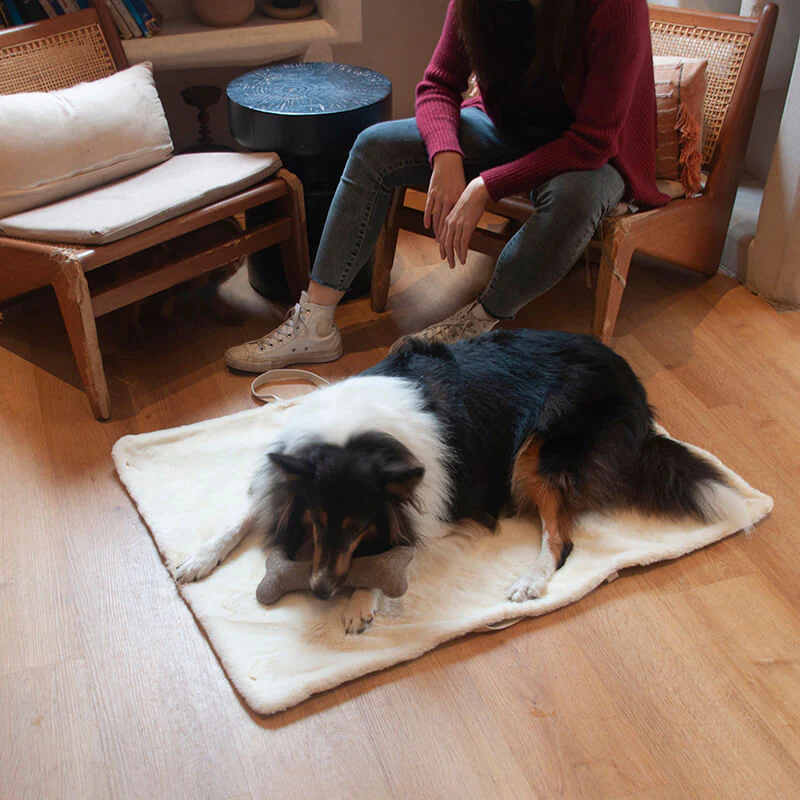 Tapis portable pour chien - Image 4