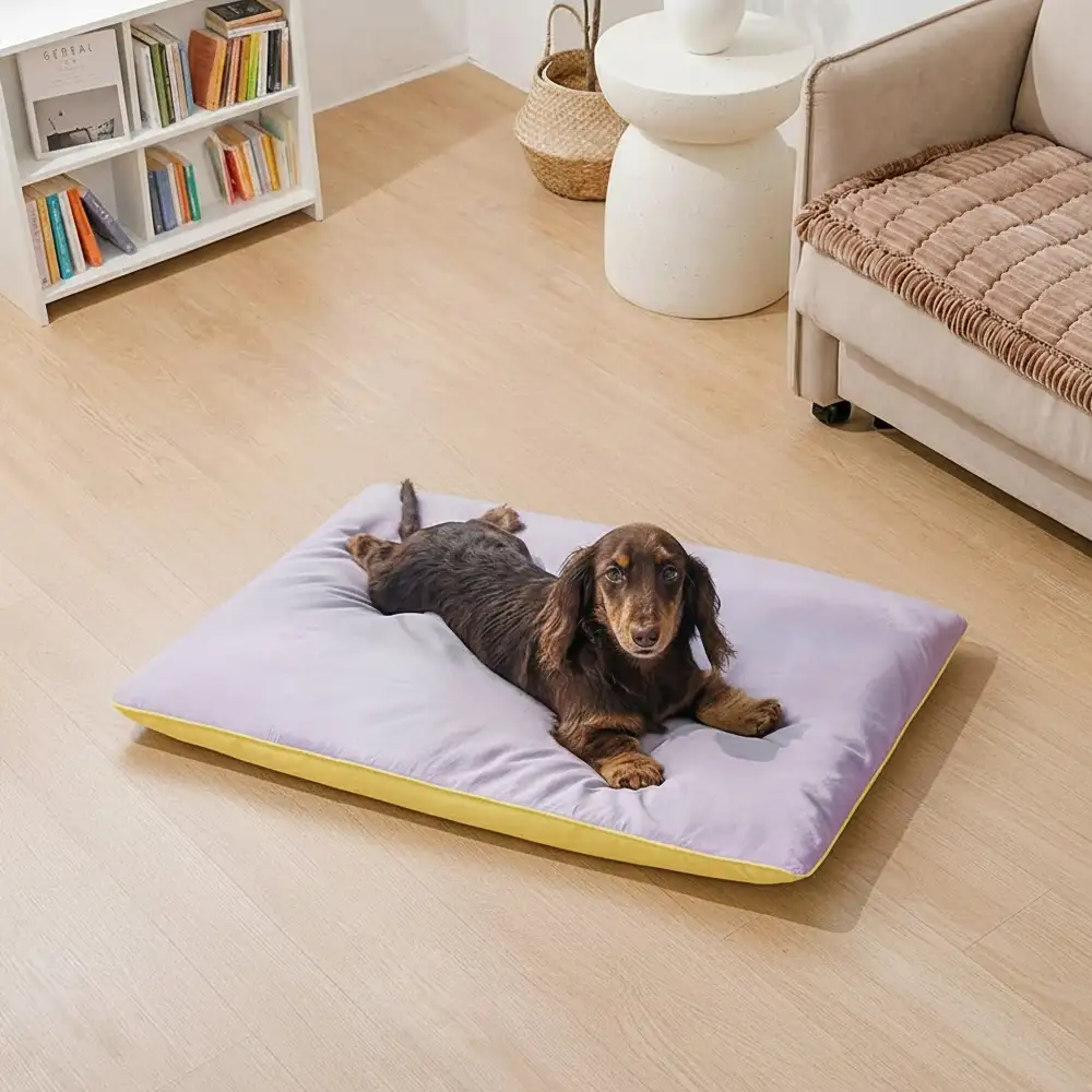 Tapis pour chien double face, imperméable, résistant aux rayures et lavable. - Image 10