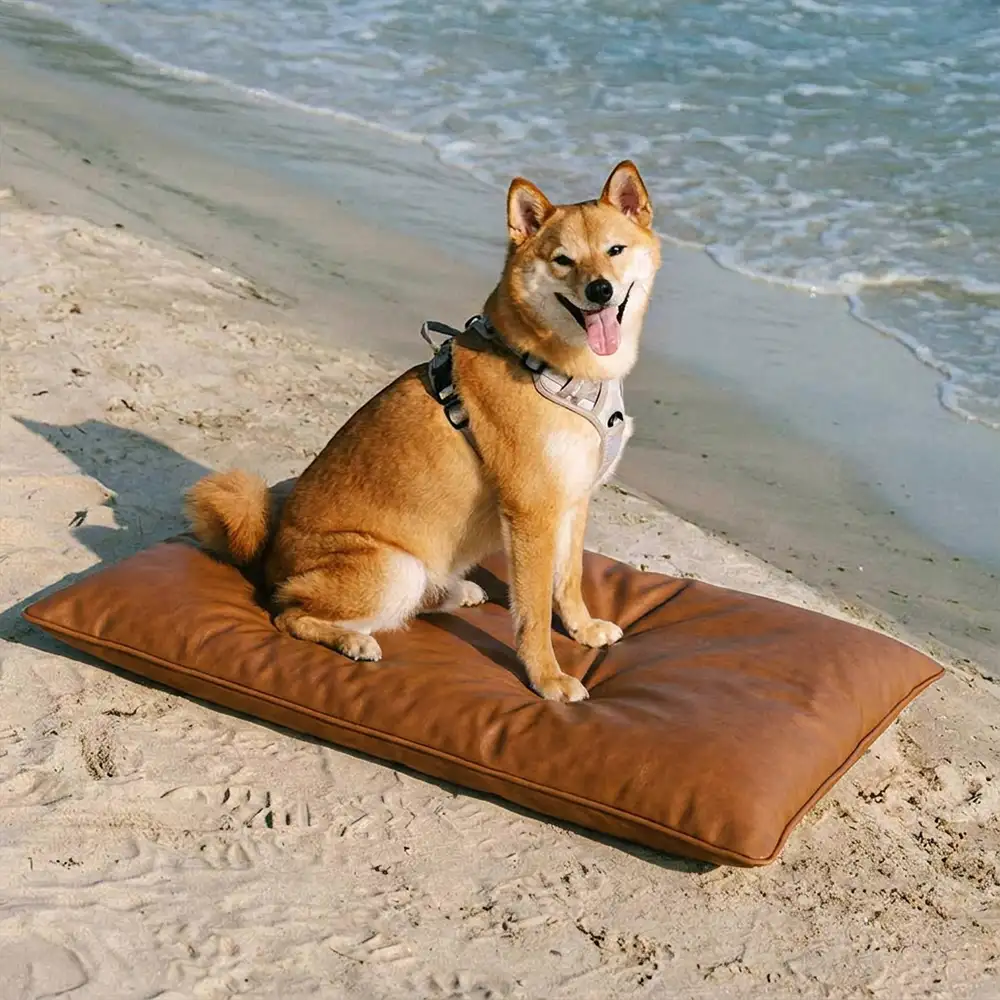 Tapis pour chien double face, imperméable, résistant aux rayures et lavable. - Image 11