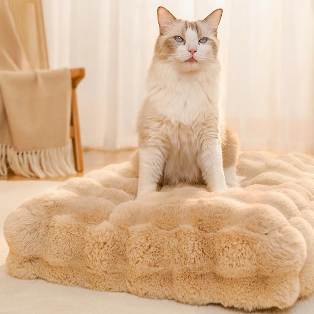 Tapis pour chien et chat en fausse fourrure de lapin ultra douce à motif ondulé avec oreiller pour animaux de compagnie - Image 5