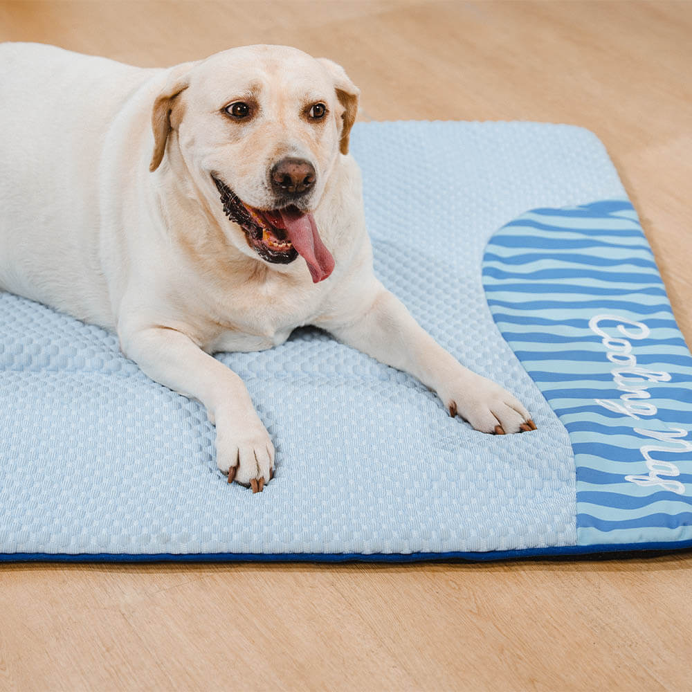 Tapis pour chien rafraîchissant grande taille lavable et antidérapant - Sieste rafraîchissante - Image 12