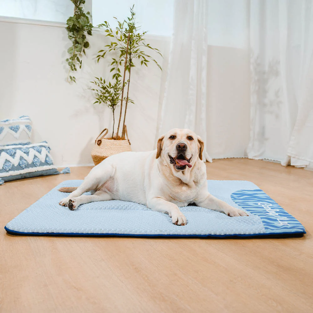 Tapis pour chien rafraîchissant grande taille lavable et antidérapant - Sieste rafraîchissante - Image 3