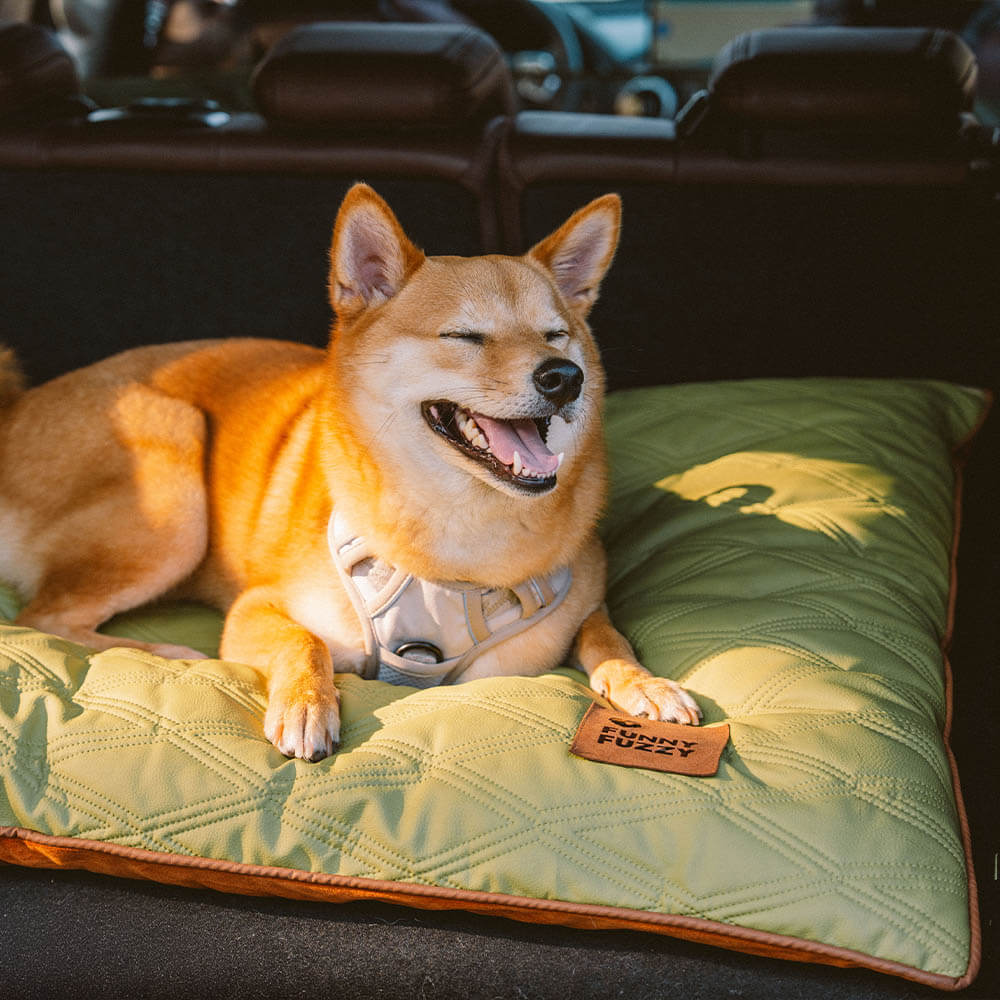 Tapis réversible apaisant imperméable pour chien de luxe - Image 13