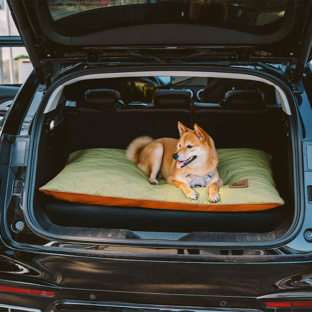 Tapis réversible apaisant imperméable pour chien de luxe - Image 14