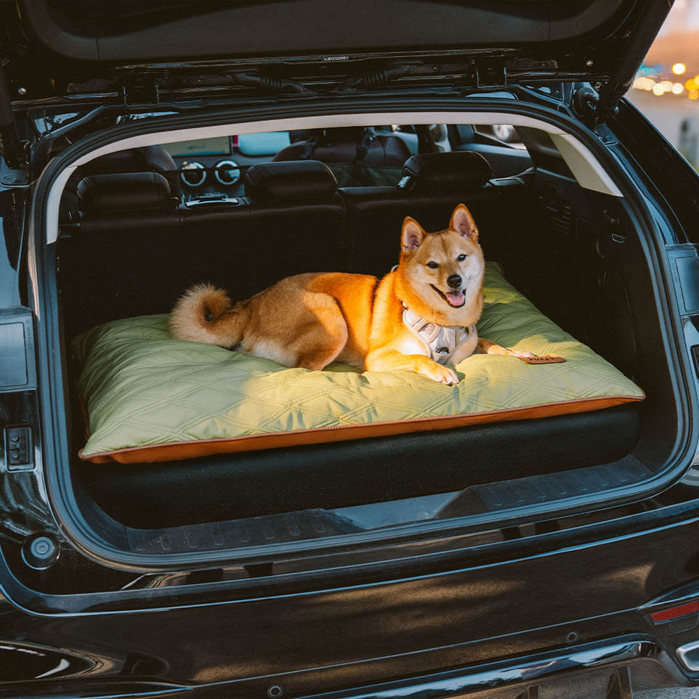 Tapis réversible apaisant imperméable pour chien de luxe - Image 16