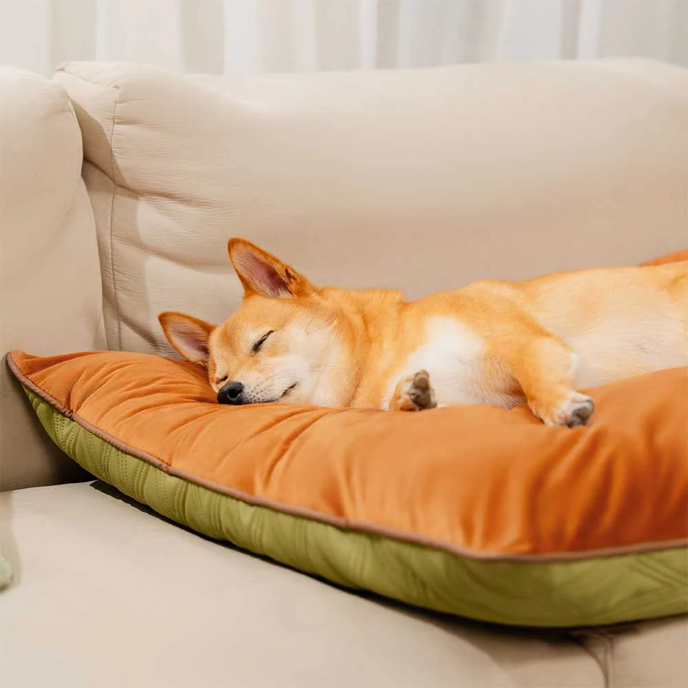 Tapis réversible apaisant imperméable pour chien de luxe - Image 3