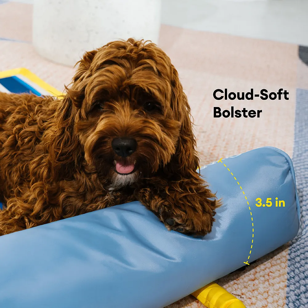 Tapis rafraichissant chien portable pour chat et petit chien - Chill Nest - Image 4