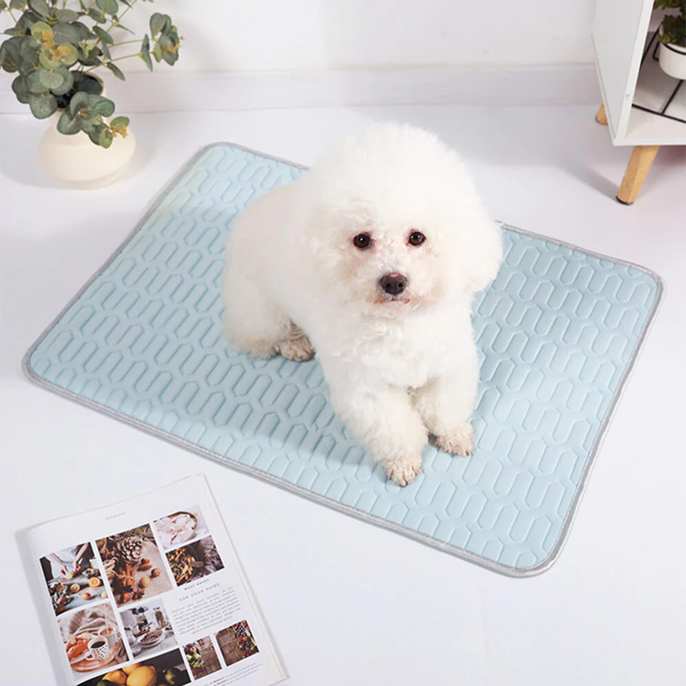 Tapis rafraîchissant lavable antidérapant respirant en soie glacée pour chien et chat - Image 3