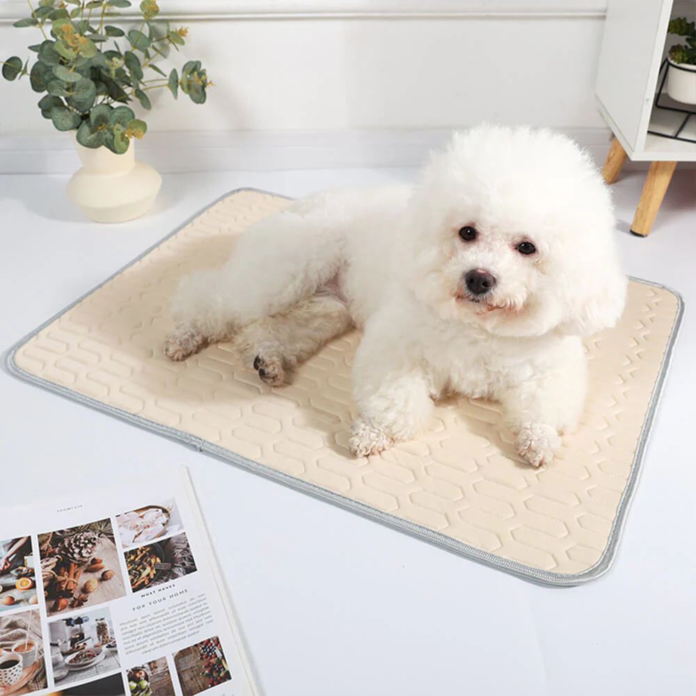 Tapis rafraîchissant lavable antidérapant respirant en soie glacée pour chien et chat - Image 4