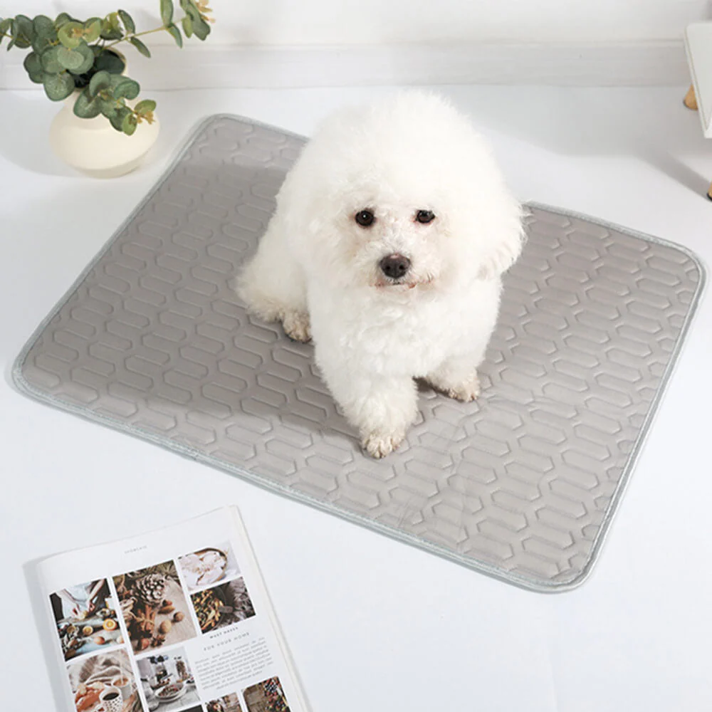 Tapis rafraîchissant lavable antidérapant respirant en soie glacée pour chien et chat - Image 5