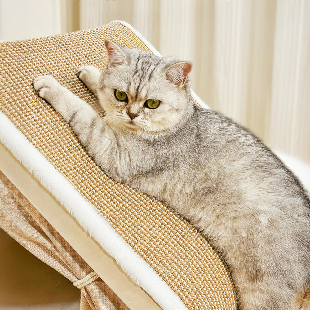 Tente pour chat tout-en-un avec toit griffoir et espace de couchage confortable - Image 6