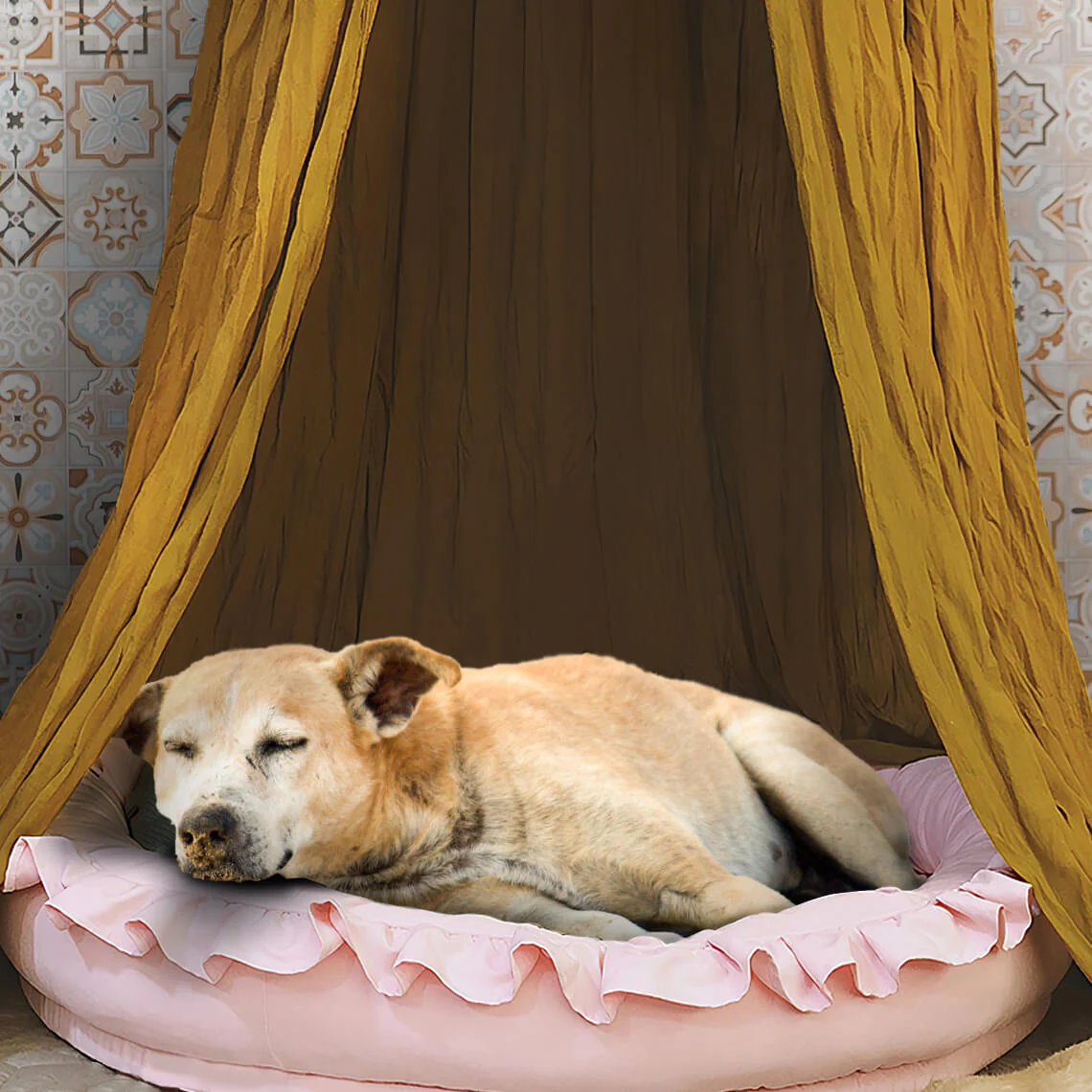 Tipi pour chien élégant et confortable pour tente pour chien - Image 7