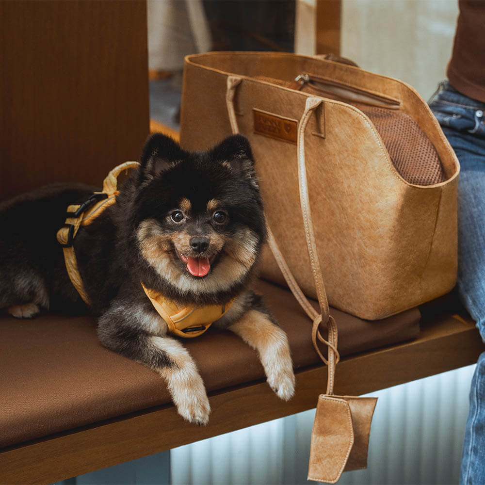 Transporteur pour animaux écologique en nylon Dupont imperméable - City Roamer - Image 10