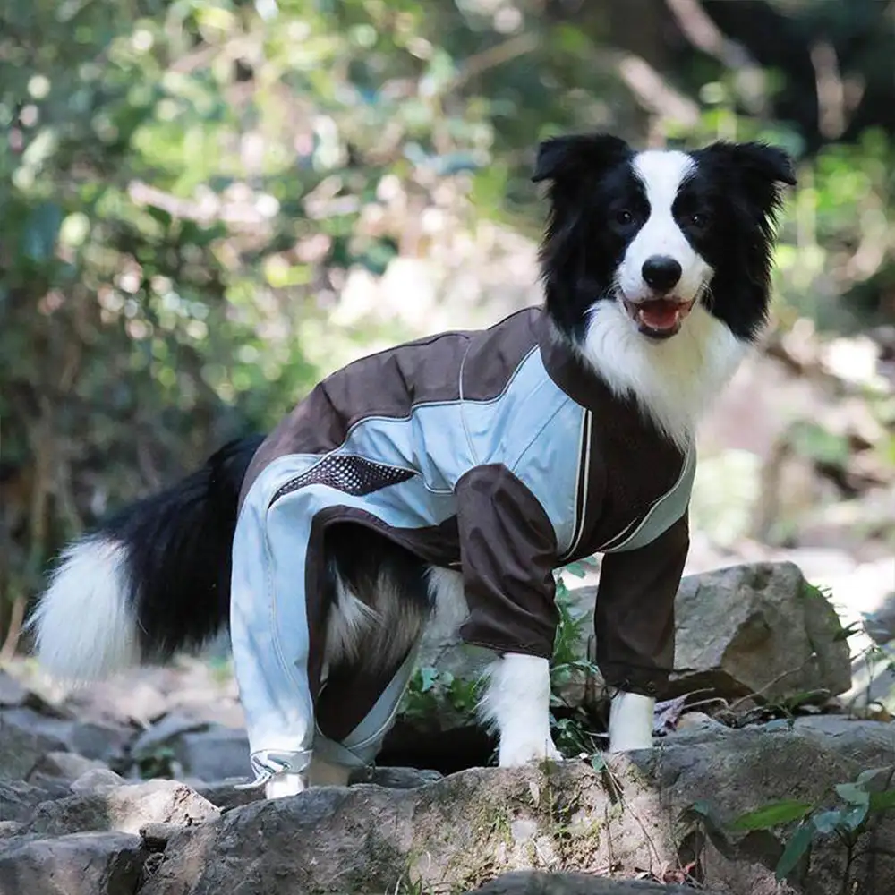 Veste coupe-vent imperméable multifonctionnelle pour chiens de taille moyenne et grande. - Image 4