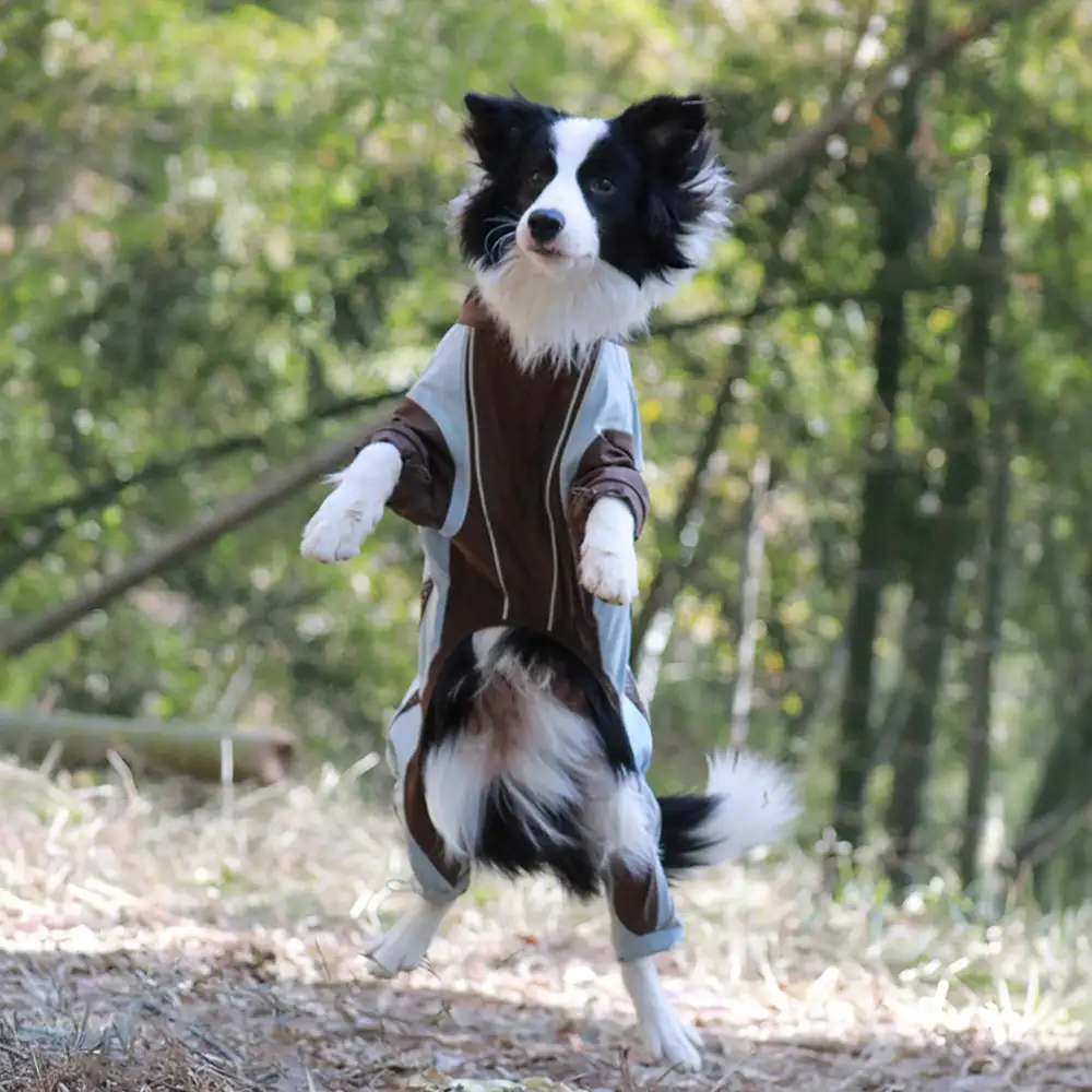 Veste coupe-vent imperméable multifonctionnelle pour chiens de taille moyenne et grande. - Image 5