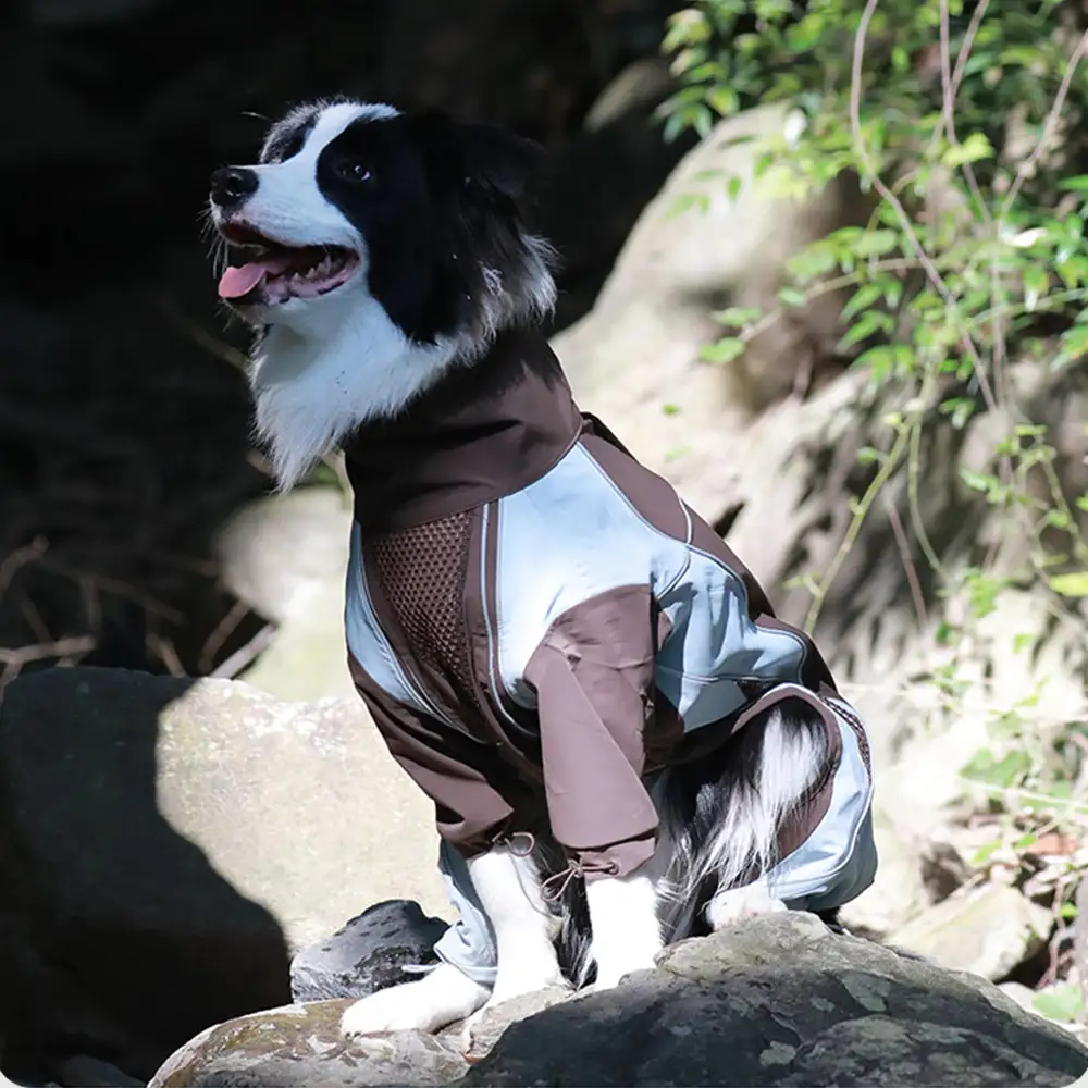 Veste coupe-vent imperméable multifonctionnelle pour chiens de taille moyenne et grande. - Image 6