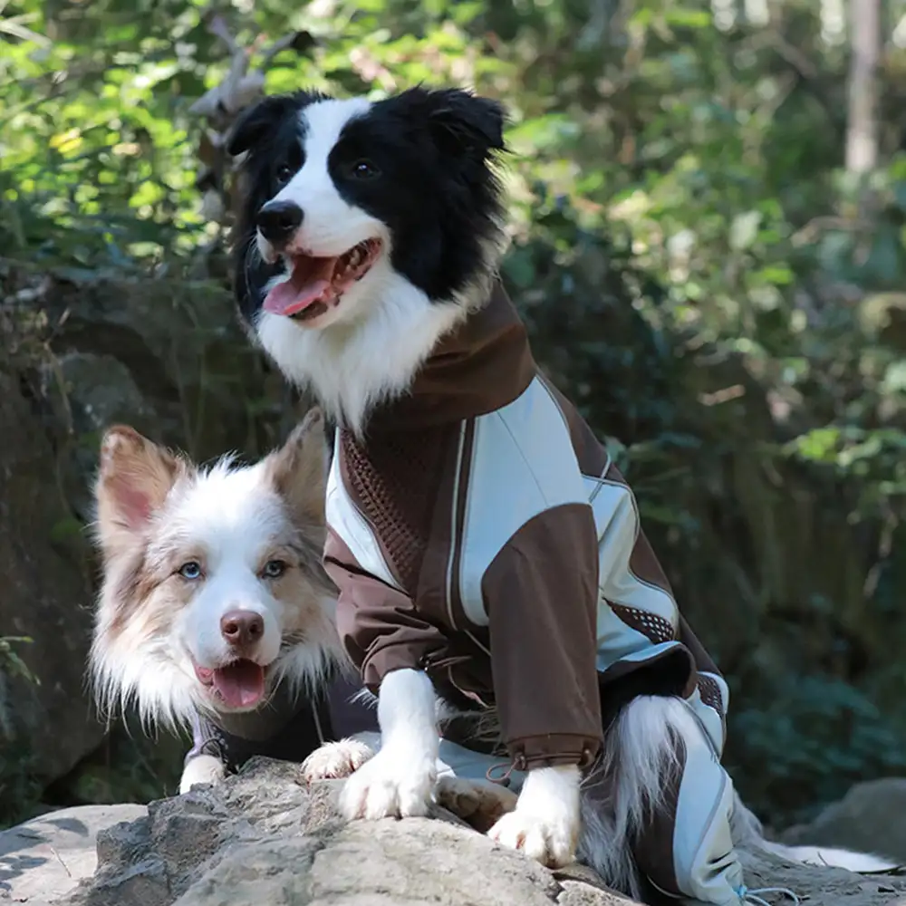 Veste coupe-vent imperméable multifonctionnelle pour chiens de taille moyenne et grande. - Image 7