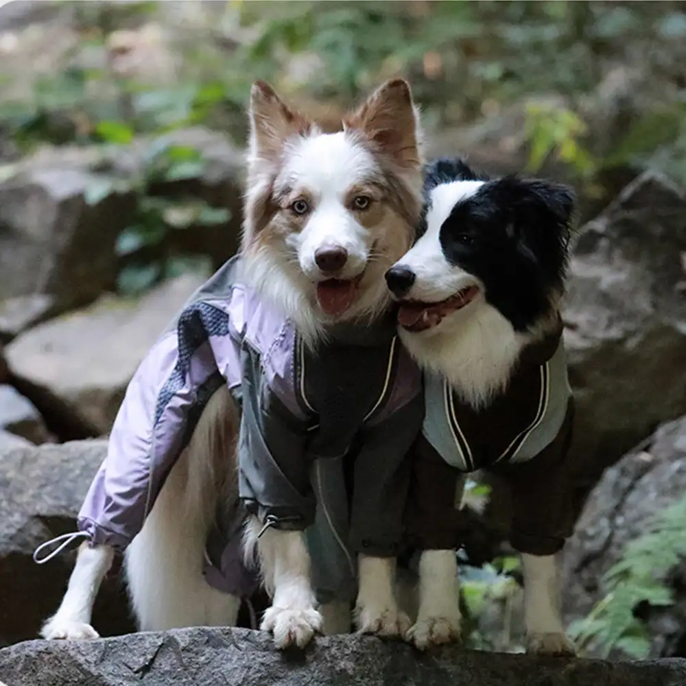 Veste coupe-vent imperméable multifonctionnelle pour chiens de taille moyenne et grande. - Image 8