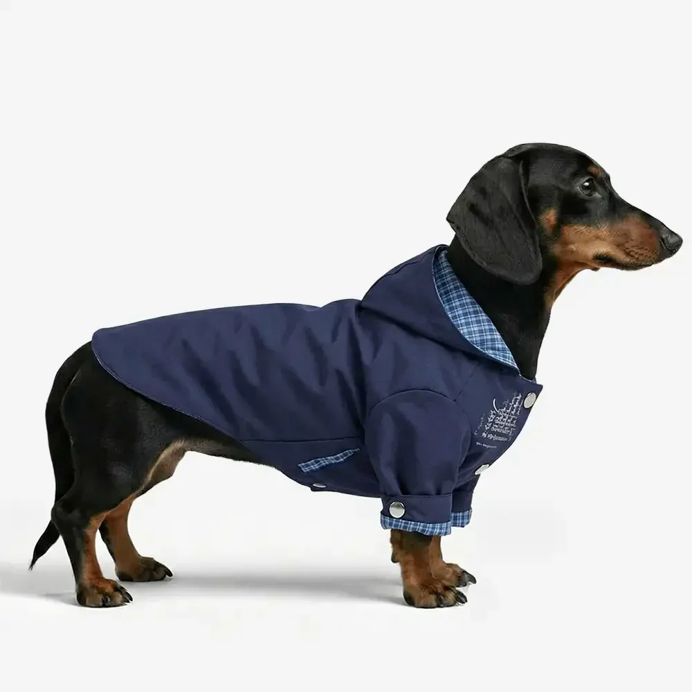 Veste de chien réversible à deux faces élégante, coupe-vent, pour l'extérieur. - Image 2