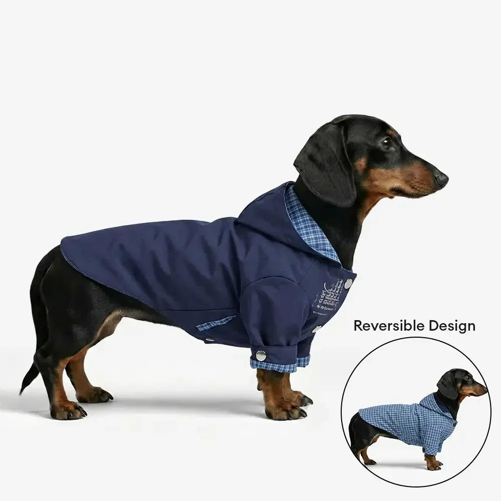 Veste de chien réversible à deux faces élégante, coupe-vent, pour l'extérieur. - Image 3