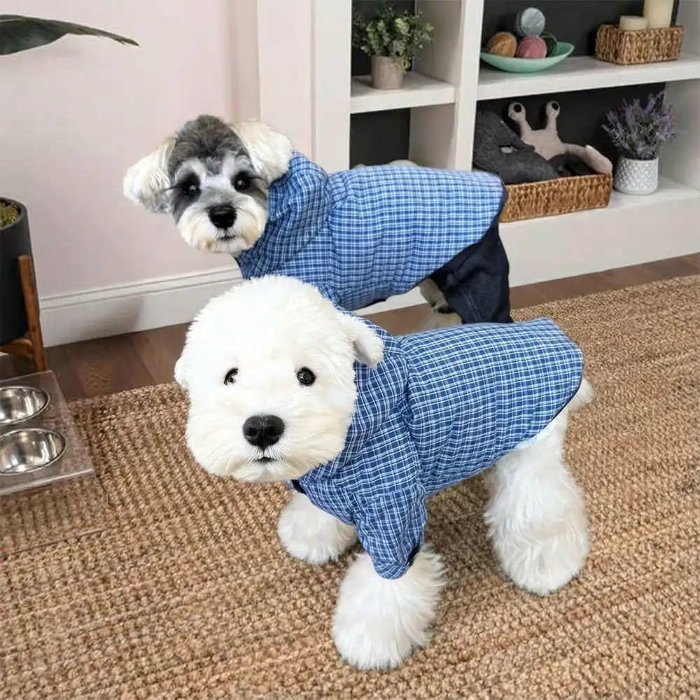 Veste de chien réversible à deux faces élégante, coupe-vent, pour l'extérieur. - Image 5