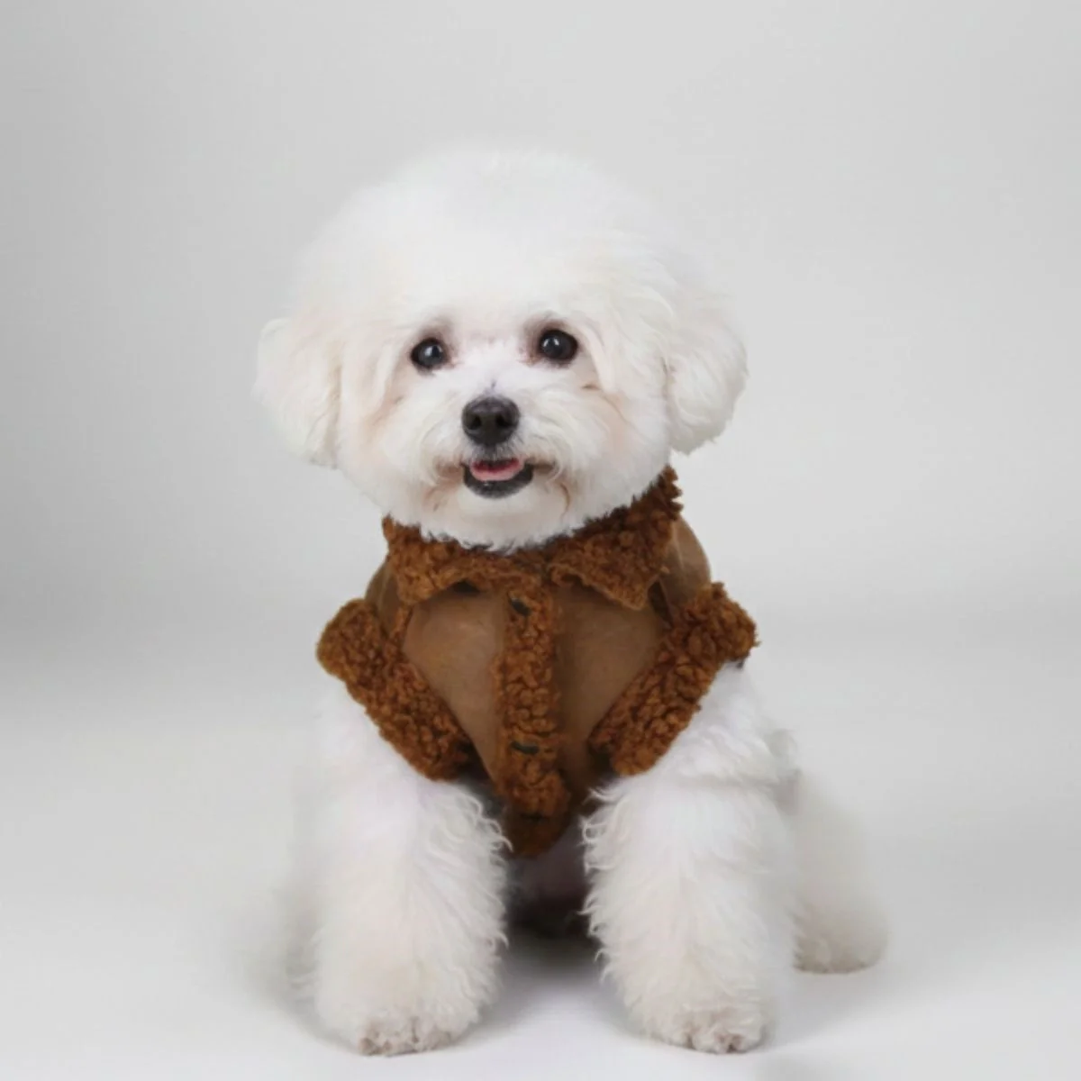 Veste pour chien en peau de mouton chaude et élégante pour l'hiver - Image 4