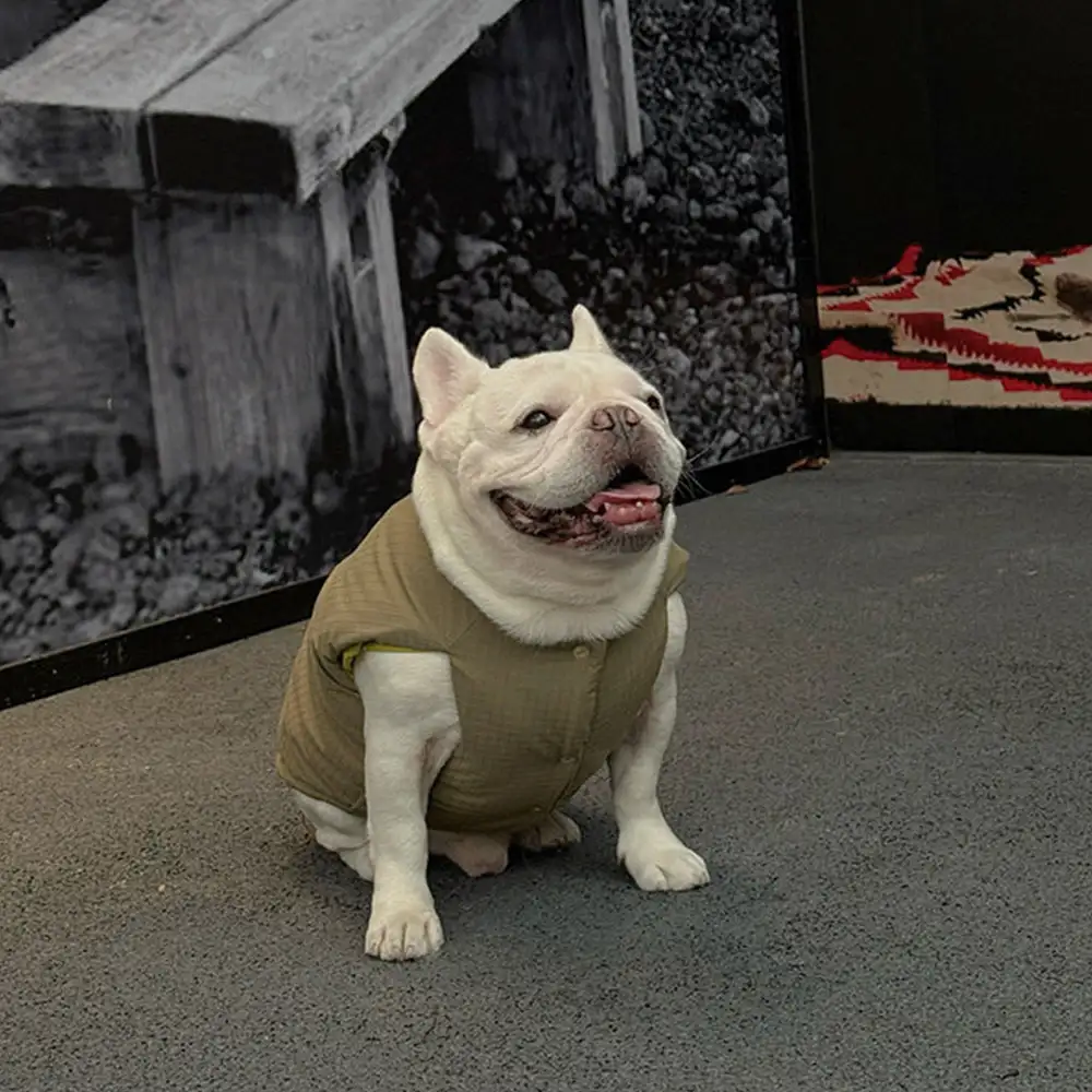 Veste pour chien réversible en padded, épaisse et chaude. - Image 6